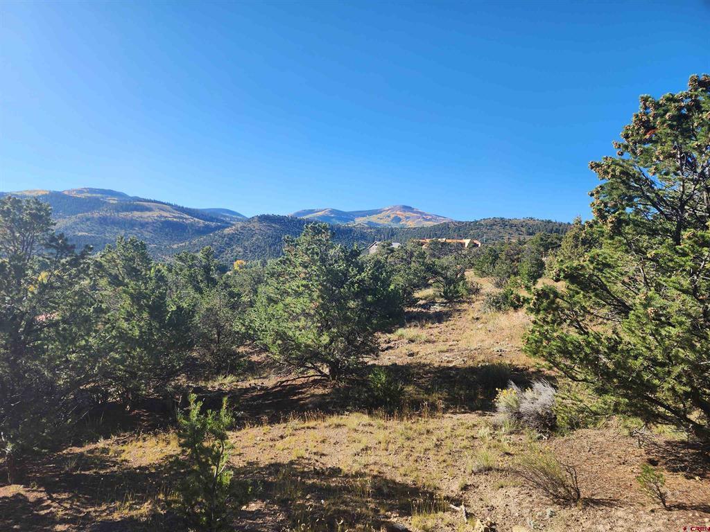 Land for sale in South Fork, Colorado